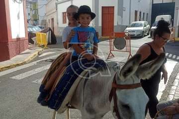 Lomo Magullo juega a las carreras de burros/TA.